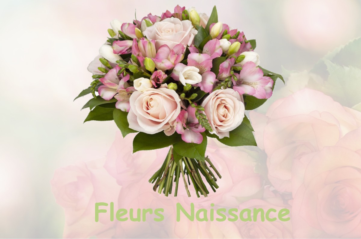 fleurs naissance PAJAY