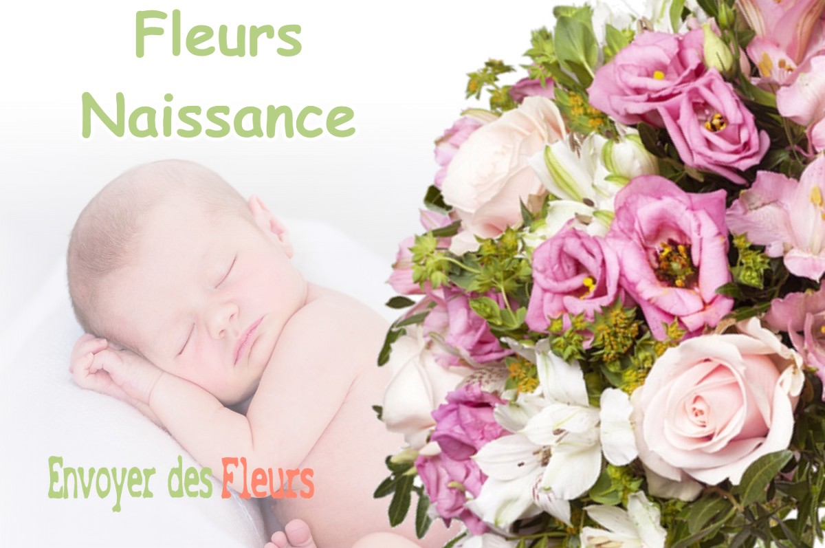 lIVRAISON FLEURS NAISSANCE à PAJAY